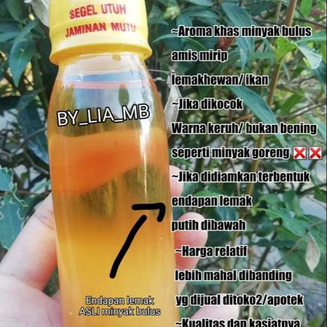 

Minyak Bulus Aroma