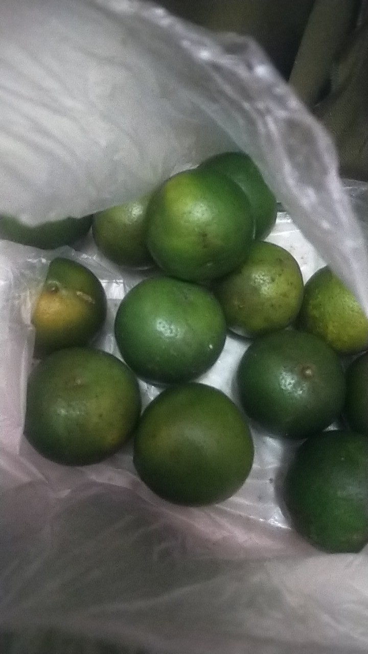 Jeruk Lemon Lokal 1kg