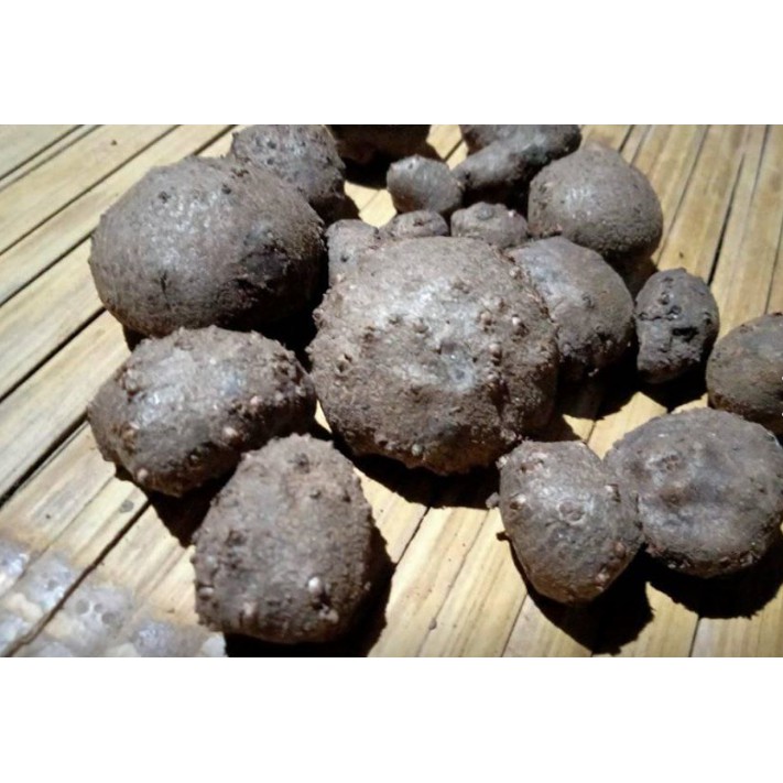 

PROMO TURUN HARGA BIBIT BIJI katak porang dorman asli 1 kg
