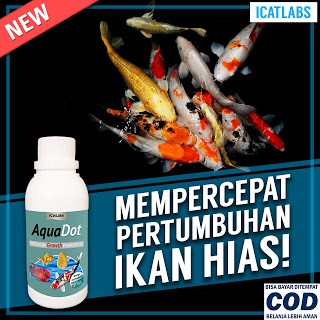 [B3] AQUADOT PAKAN GROWTH IKAN AQUARIUM IKAN KOI ARWANA IKAN KOKI IKAN HIAS IKAN ARWANA IKAN LOUHAN