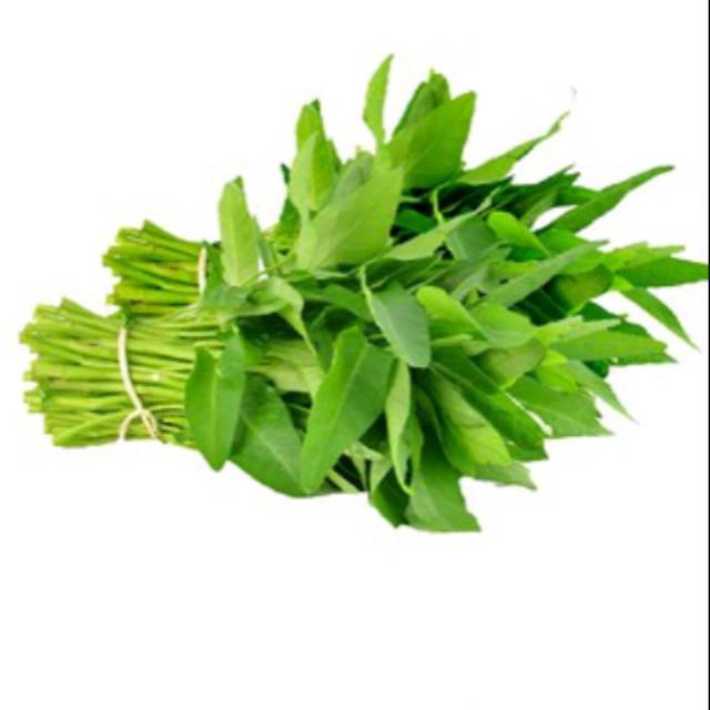 

Kangkung perikat