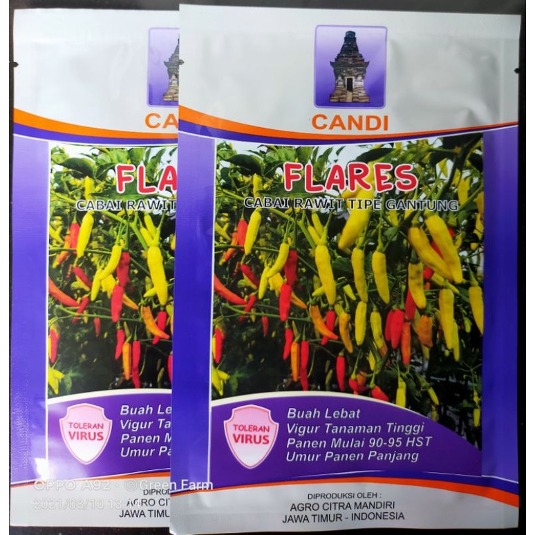 Cabe Flares Tahan Virus Kemasan 10gr Original Pabrik Cabe Rawit Unggulan Cap Candi Yg Viral