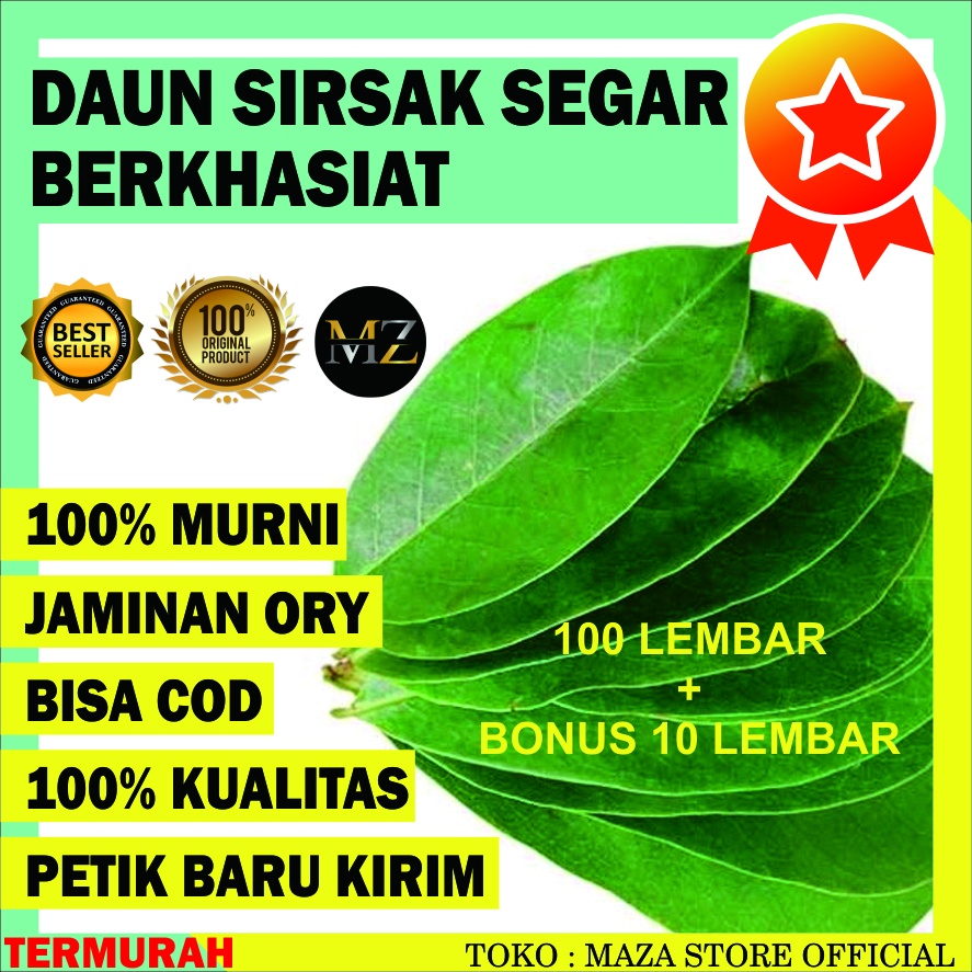 

DAUN SIRSAK SEGAR KERING UNTUK KANKER DIABETES 100 LEMBAR