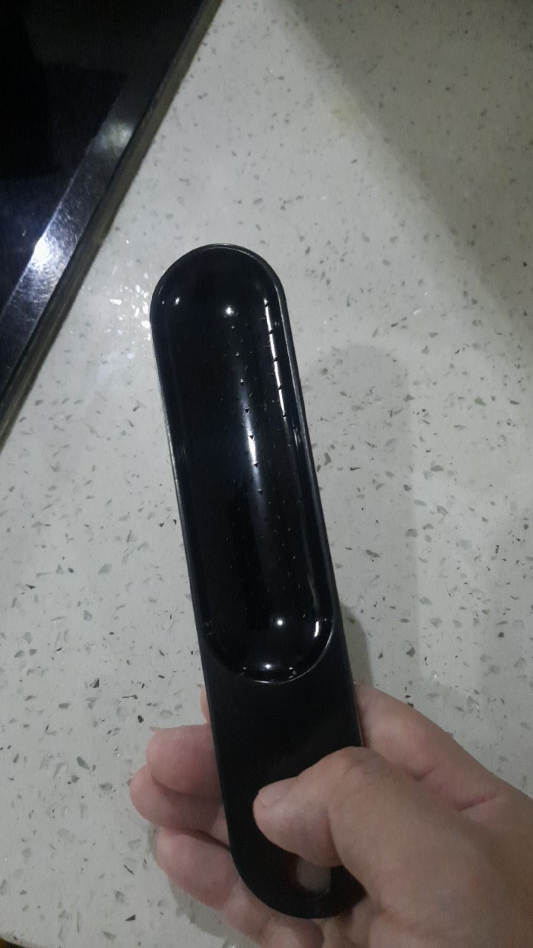 Japan Brand Condiments Grater Parutan Jahe Wasabi Bawang Putih Citrus