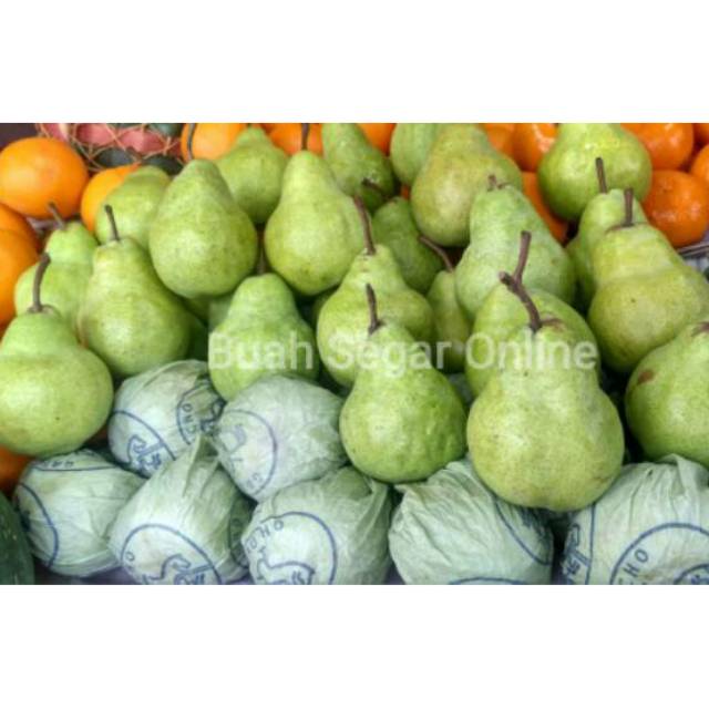 

Pear Ijo/Pir Ijo Australi