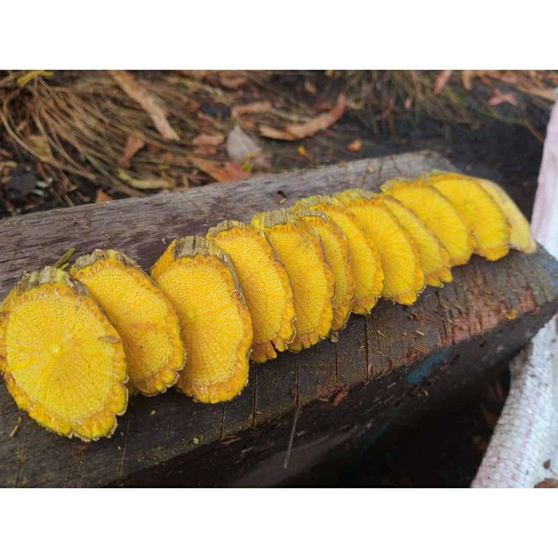 Medan Termurah 1000 gram/ 1 Kg Herbal alami Akar Bajakah kuning Asli Kalimantan