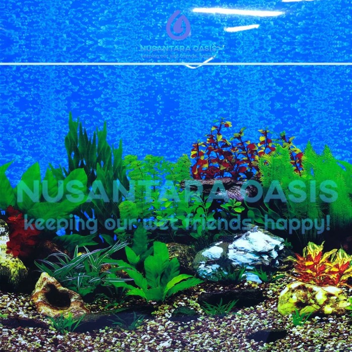 WALLPAPER / BACKGROUND AQUARIUM MOTIF UK. 30 CM (PER 1 METER)