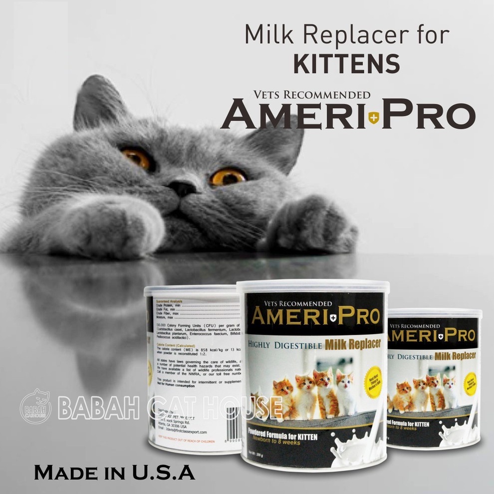 AMERI PRO CAT Susu Anak Kucing Kitten Ameripro Milk Replacer Rc Murah Formula Untuk Bayi Baru Lahir 