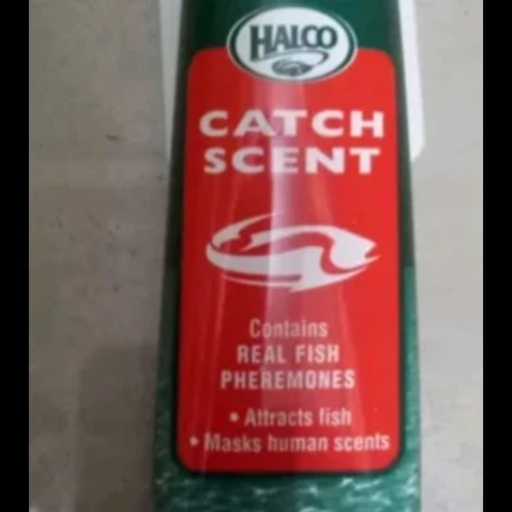 prangsang ikan halco hijau