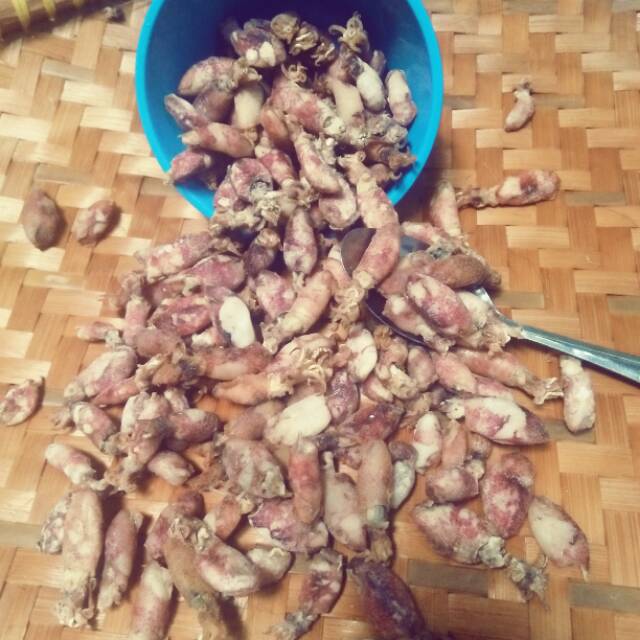 

Cumi asin kering berbagai ukuran menerima pembelian smpe 200kg tergantung stok dan musimnya.