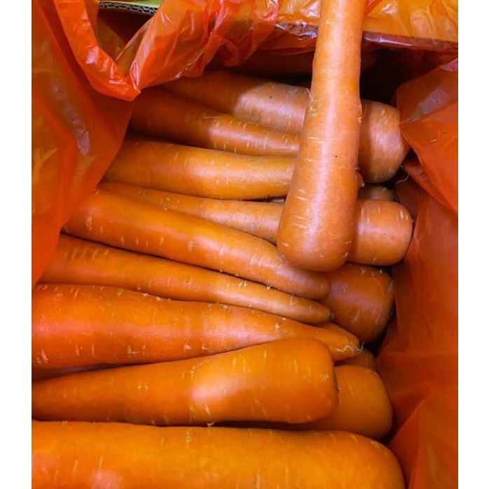 

SAYUR WORTEL MEDAN / WORTEL BRASTAGI SEGAR