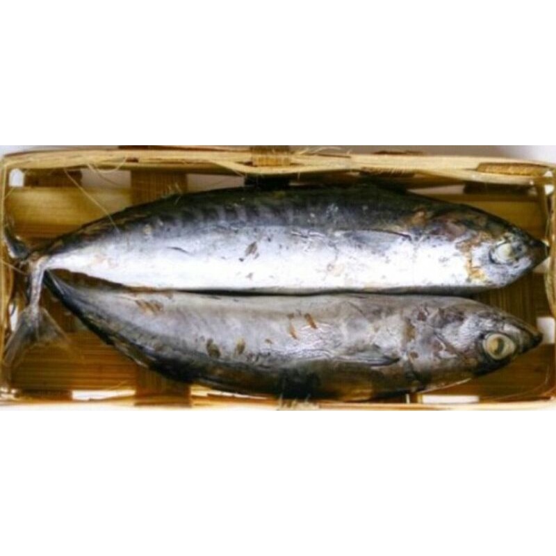 

IKAN CUE 1KRANJANG ISI 2