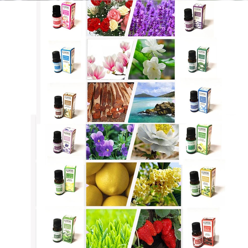 Minyak Aromaterapi Difuser Ukuran 10Ml // Pure Essential Oils Minyak Aromatherapy Diffusers 10ml