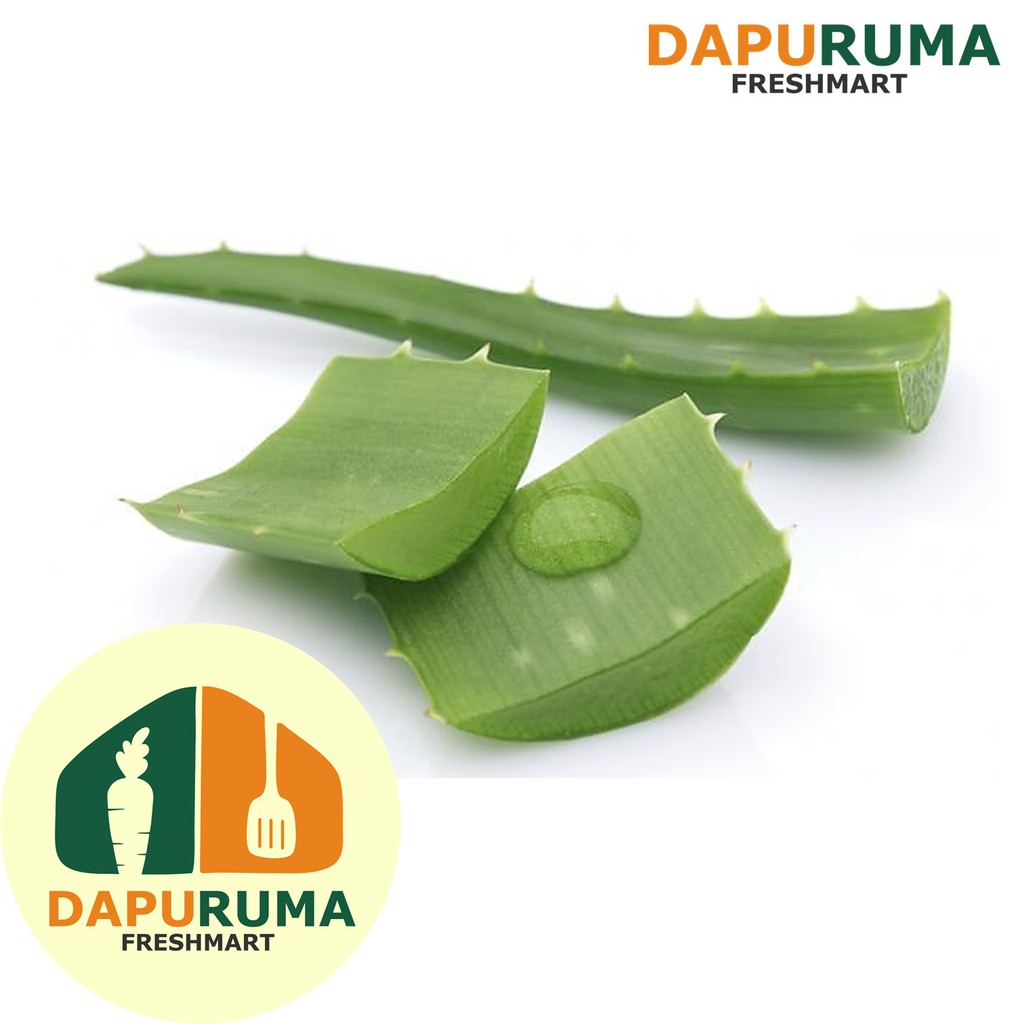 

Lidah Buaya organik @500gr