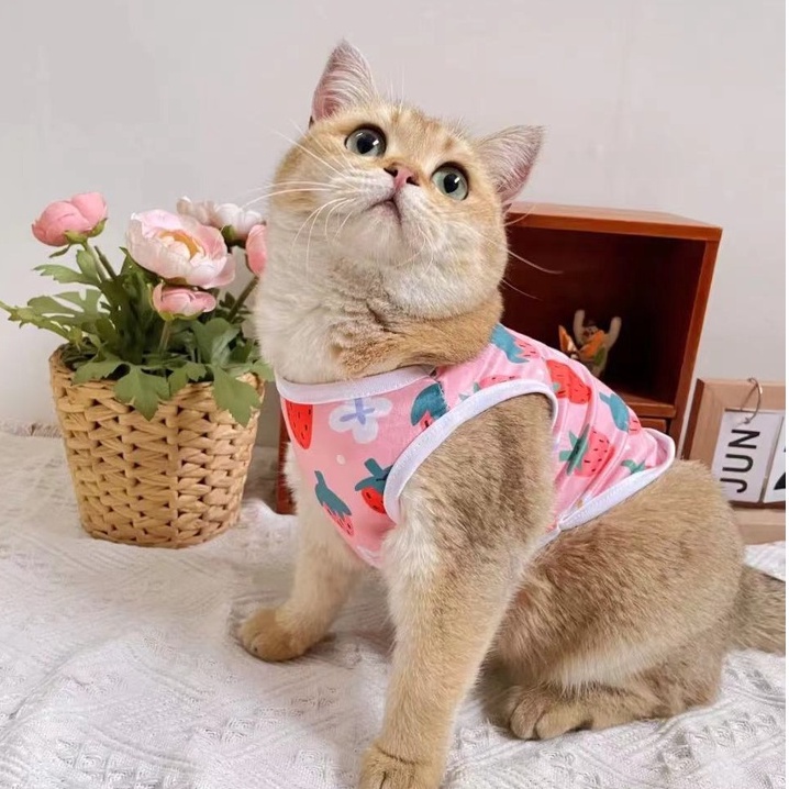 Kaos Rompi Musim Panas Bahan Katun Breathable Motif Print Untuk Anjing Poodle Pomeranian Shih Tzu Chihuahua Bulldog