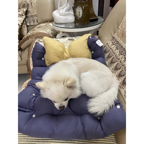 BIG SIZE Bow Cushion Bed for Pet Dog Cat Ranjang Anjing Kucing Lucu Ukuran Besar