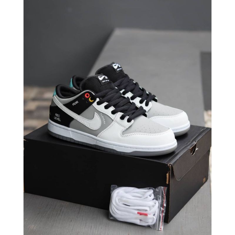 Nike Sb dunk low VX1000 camcorder