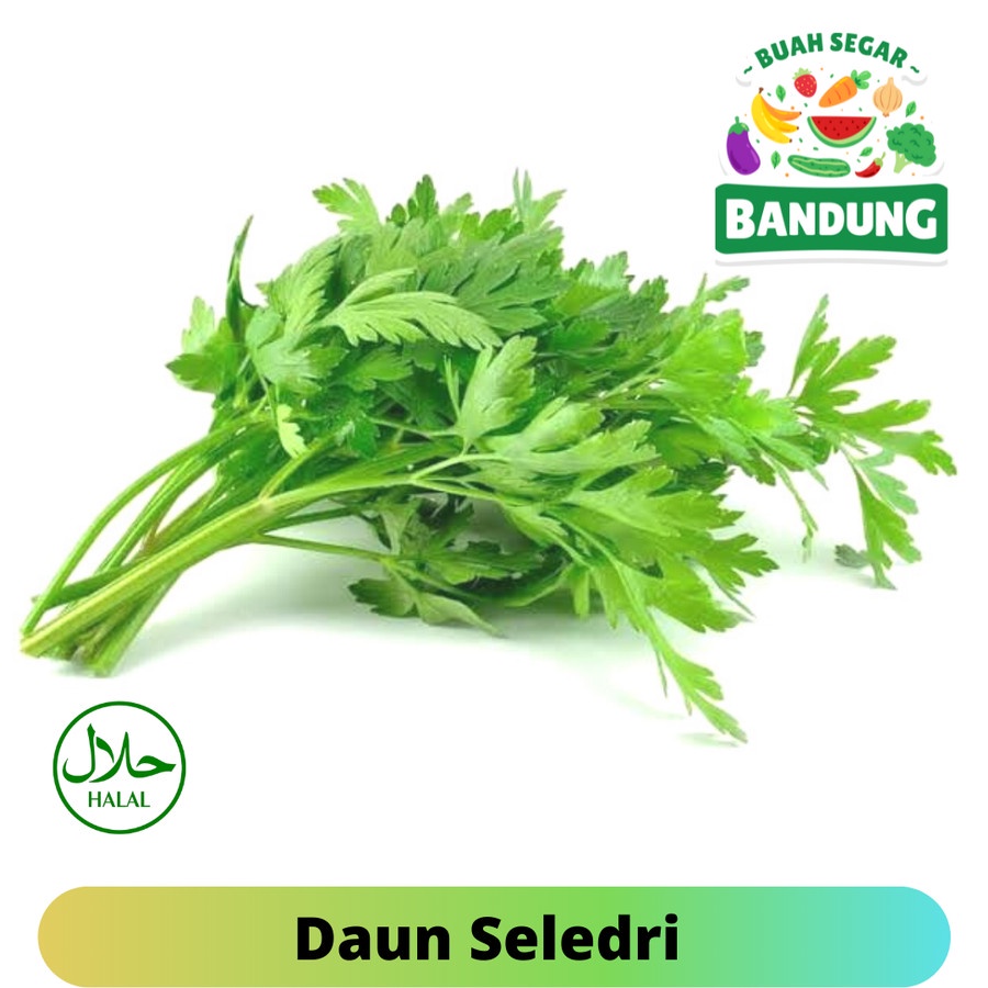 

DAUN SELEDRI FRESH EKONOMIS