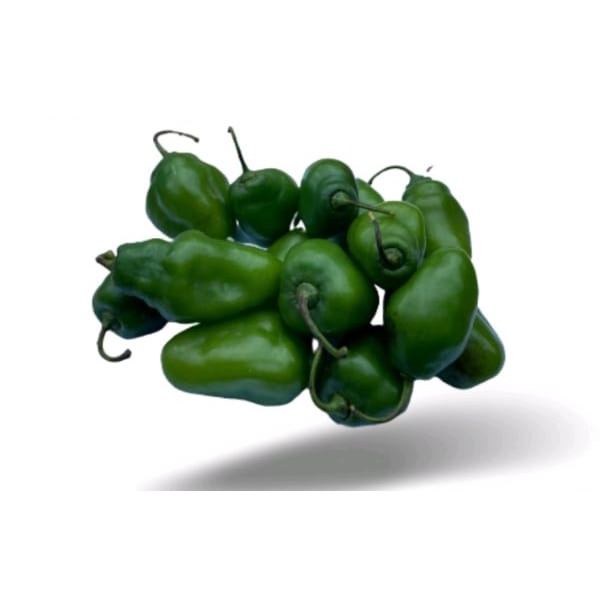 

cabe gendot / sayuran segar bnadung