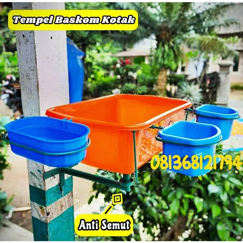Tempat pakan ternak murai model tempel