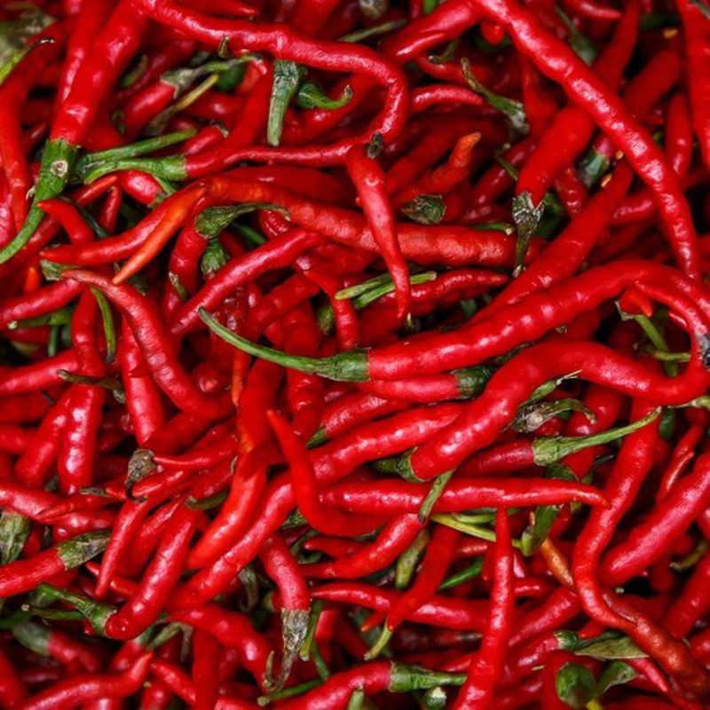 

Cabe / Cabai Merah Keriting Super Berkualitas
