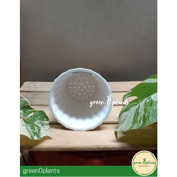 Pot Bunga Tanaman Plastik Tebal Lucky Star 5771 Putih