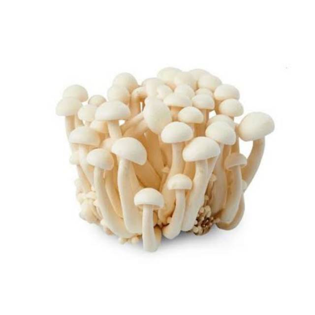 Jual Jamur Shimeji [1 pack] Shopee Indonesia