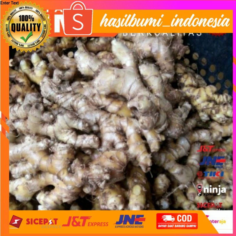 

Lempuyang segar 1kg ready stok