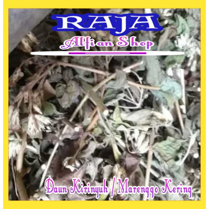 

Daun Kirinyuh Atau Marenggo Kering