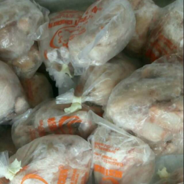 

Daging Ayam beku per ekor ukuran 6-8 ons