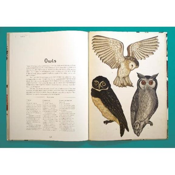 Animalium (Welcome To The Museum)