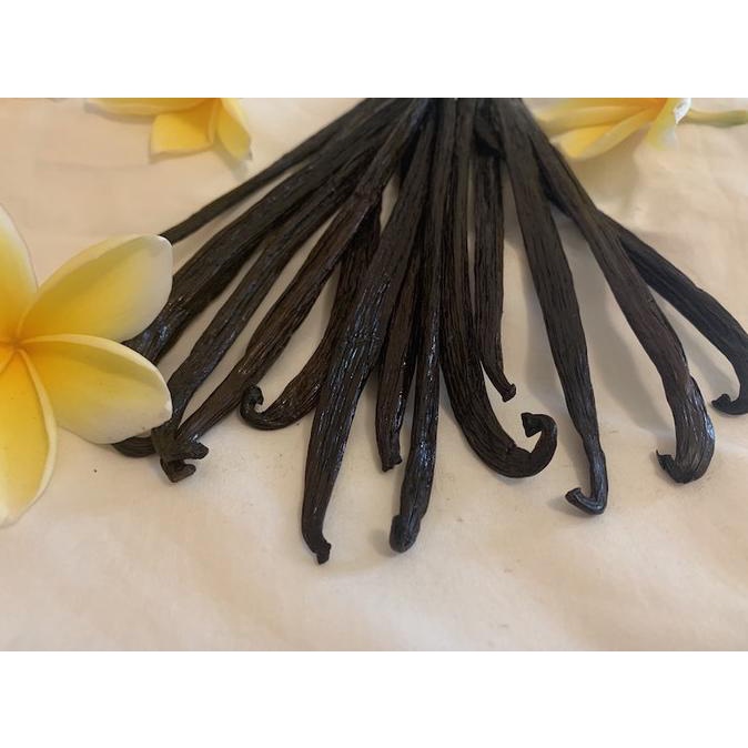 

VANILLA BEAN BATANG GOURMET GRADE A BERAt 25 gr isi 8pc READY JAKSEL ---NEW---