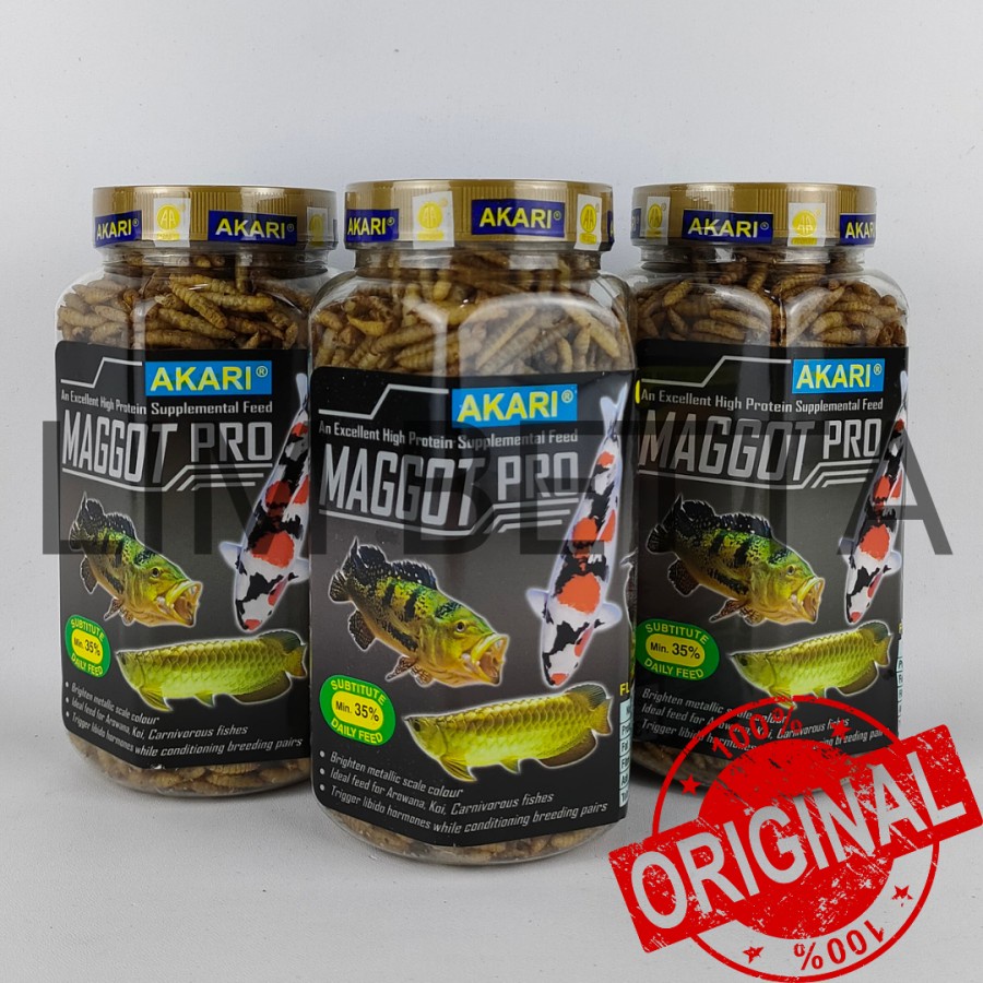 MAGGOT PRO 130 GRAM / AKARI MAGGOT PRO / MAKANAN IKAN PREDATOR