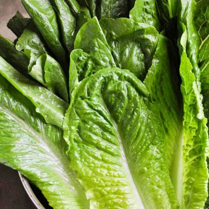 

SELADA ROMAINE - 500 gr