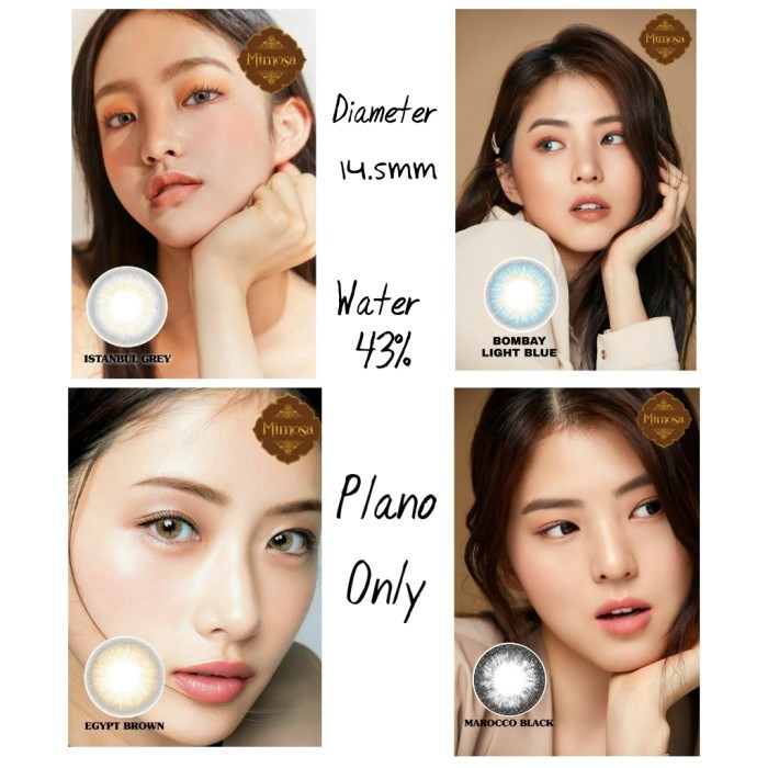 Mimosa Plano Softlens 14,5mm*