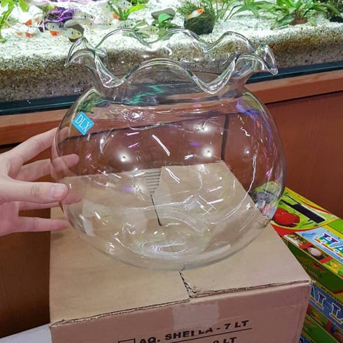 Fish Bowl 7 Liter SHELLA Aquarium Bulat 7L Toples Ikan Undian Akuarium