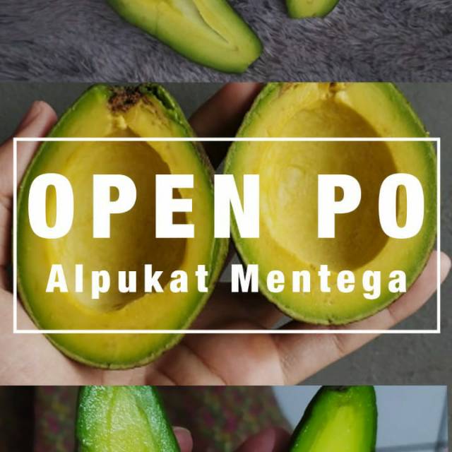 

Alpukat mentega