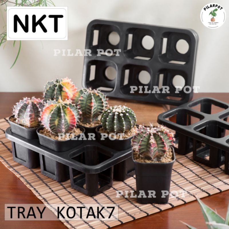 1 set Tray + POT BUNGA NKT KOTAK 7 CM HITAM | tray semai bibit