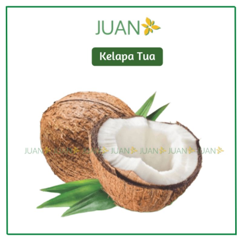 

Kelapa Tua 1/2 Butir - Juan Freshmart