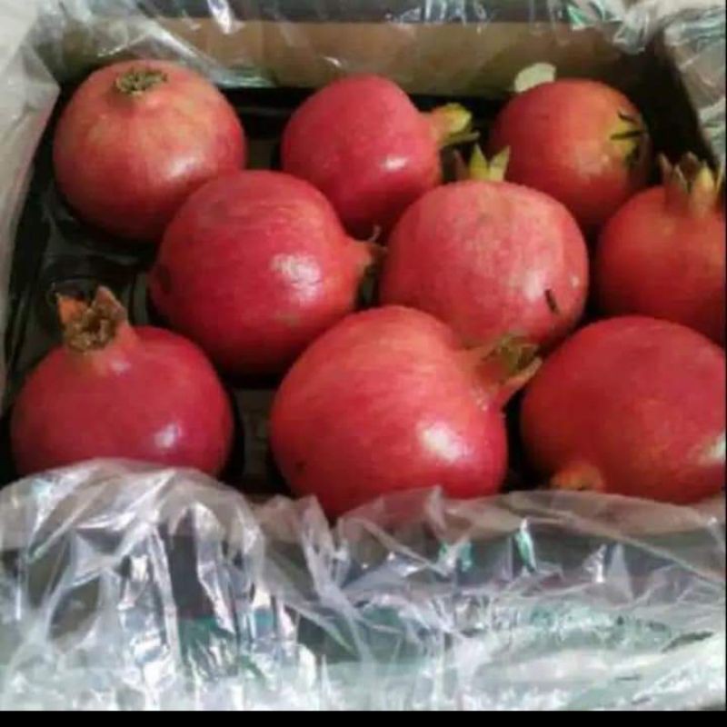 

Buah Delima Citra Segar Sehat per Box