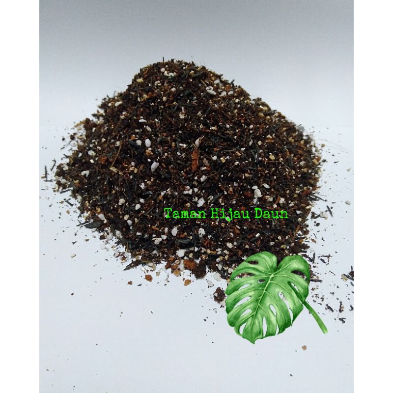 Media Tanam Monstera Komposisi Lengkap Siap Pakai Shopee Indonesia