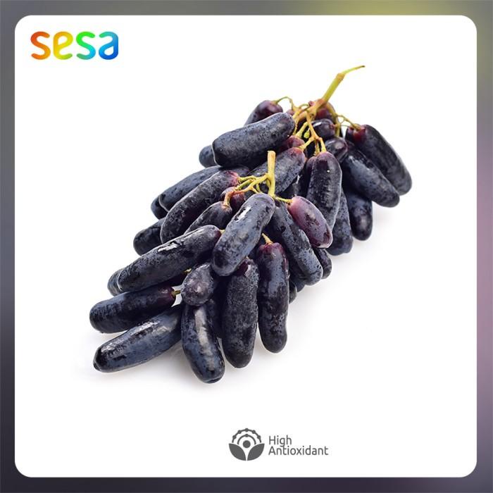 

Anggur Black Saphire 1 KG Best Seller