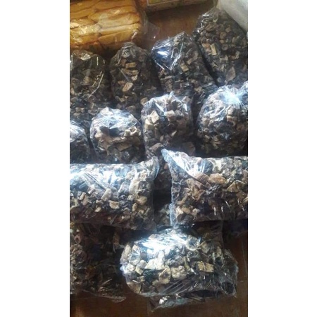

gatot ketela