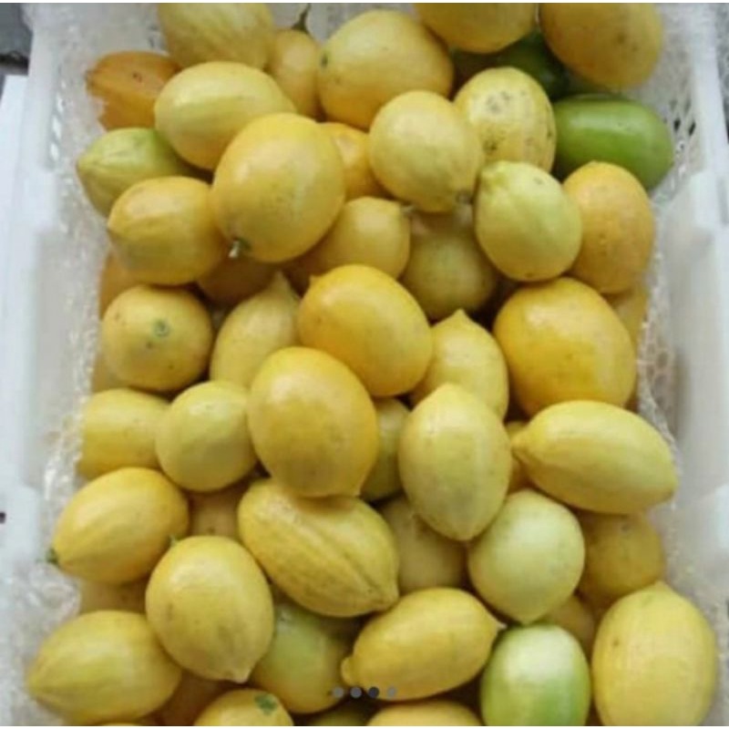 

jeruk lemon segar