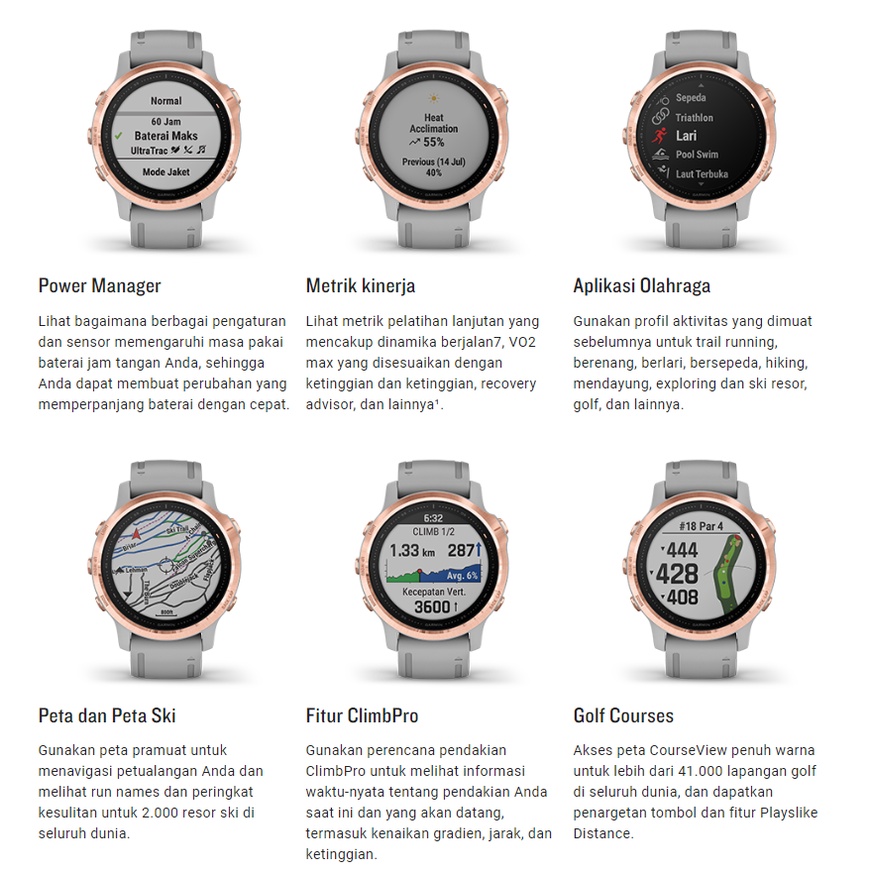 Garmin Fenix 6S Series