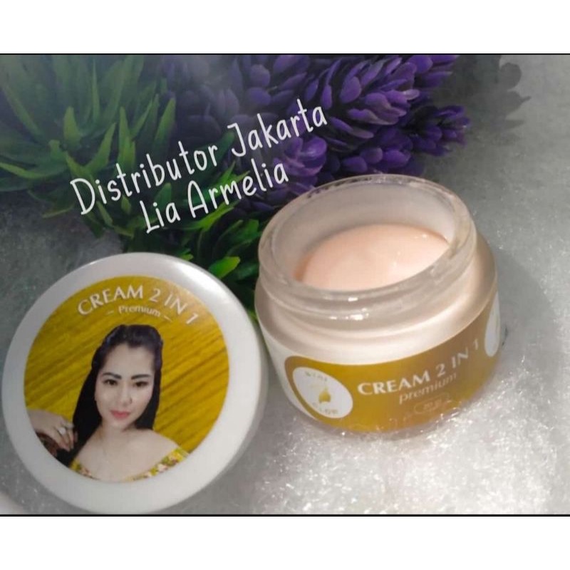 Krim Premium 2in1 Nyai glow Skincare