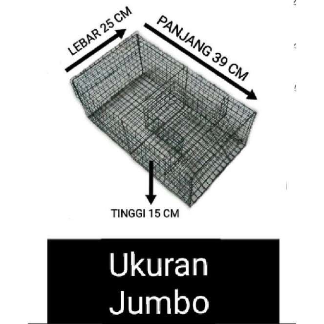 perangkap tikus jebakan tikus massal jumbo