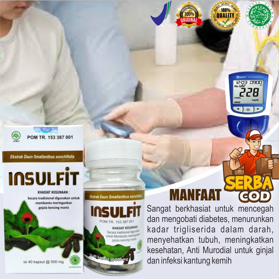 INSULFIT Kapsul Daun Insulin Herbal Diabetes isi 40 kapsul