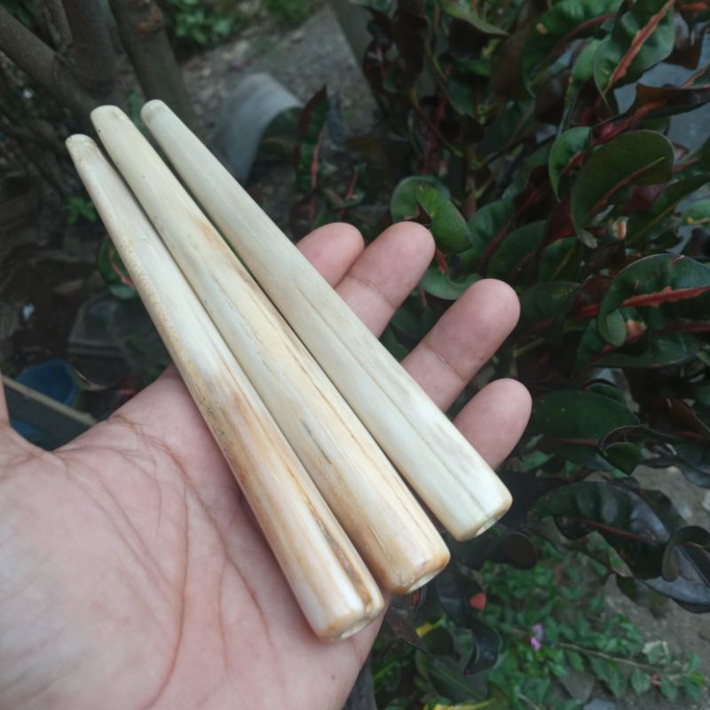 Once Cangklong Roko  Tulang marlin i> 20cm