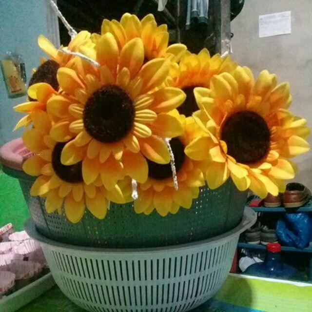 Bunga Matahari Kelopak Besar X7